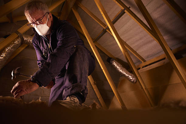 Best Insulation for New Construction  in Potomac, MD